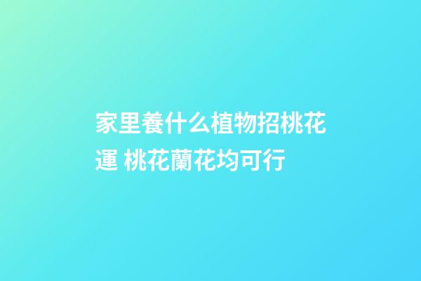 家里養什么植物招桃花運 桃花蘭花均可行